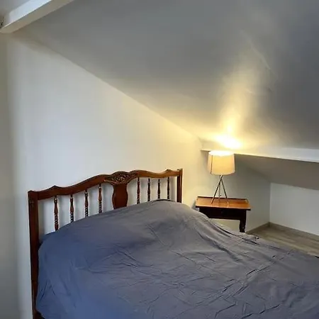 La Perle Bleue 45m² 4 Personnes * 奥尔希